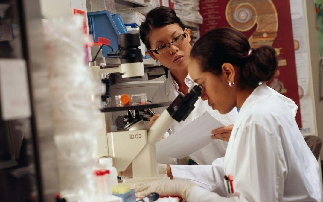 Review of global overhead practices to inform Wellcome’s international funding strategy