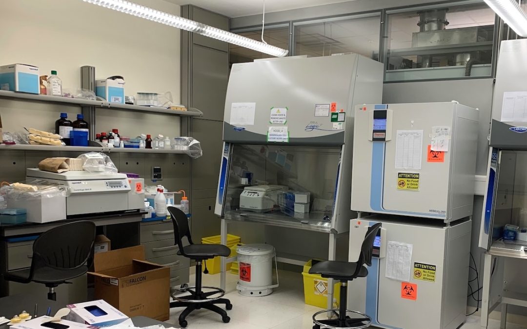 Understanding the pathway for SARS-CoV-2 pathogen genomic sequencing data and research uptake