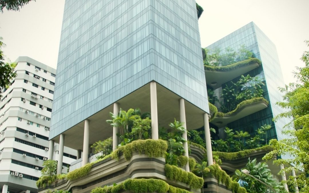 Strategic Recommendation for Financial Sustainability: The Full Economic Costing Model in Malaysia