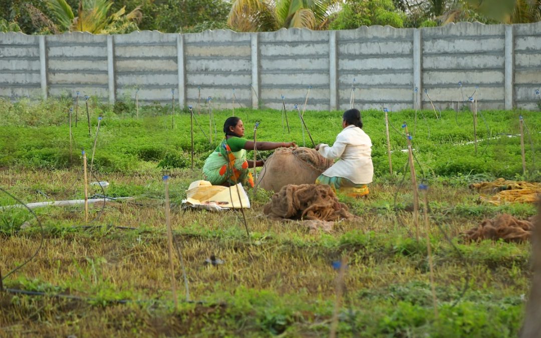 Strengthening Funding Strategies for Higher Education Cooperation in Sustainable Development