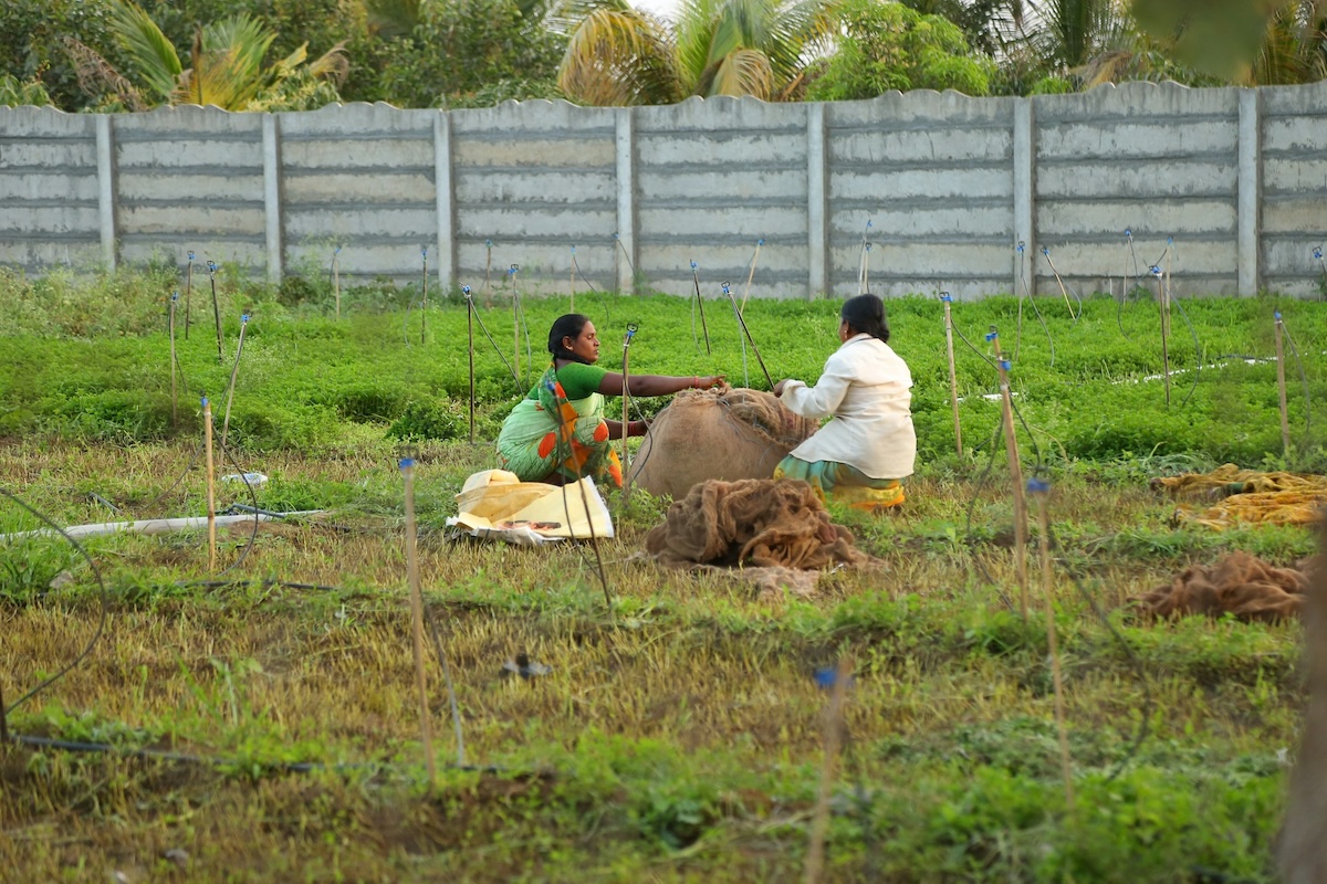 Women working in a field