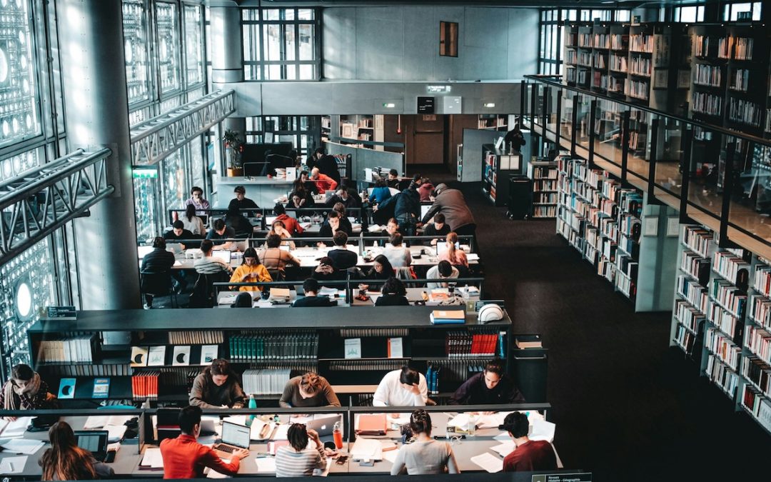 A multidimensional review of the research and enterprise culture